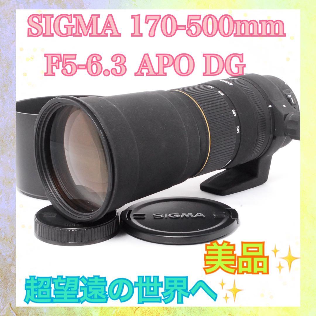 ❤️超望遠の世界へ❤️SIGMA 170-500mm F5-6.3 APO DG❤️