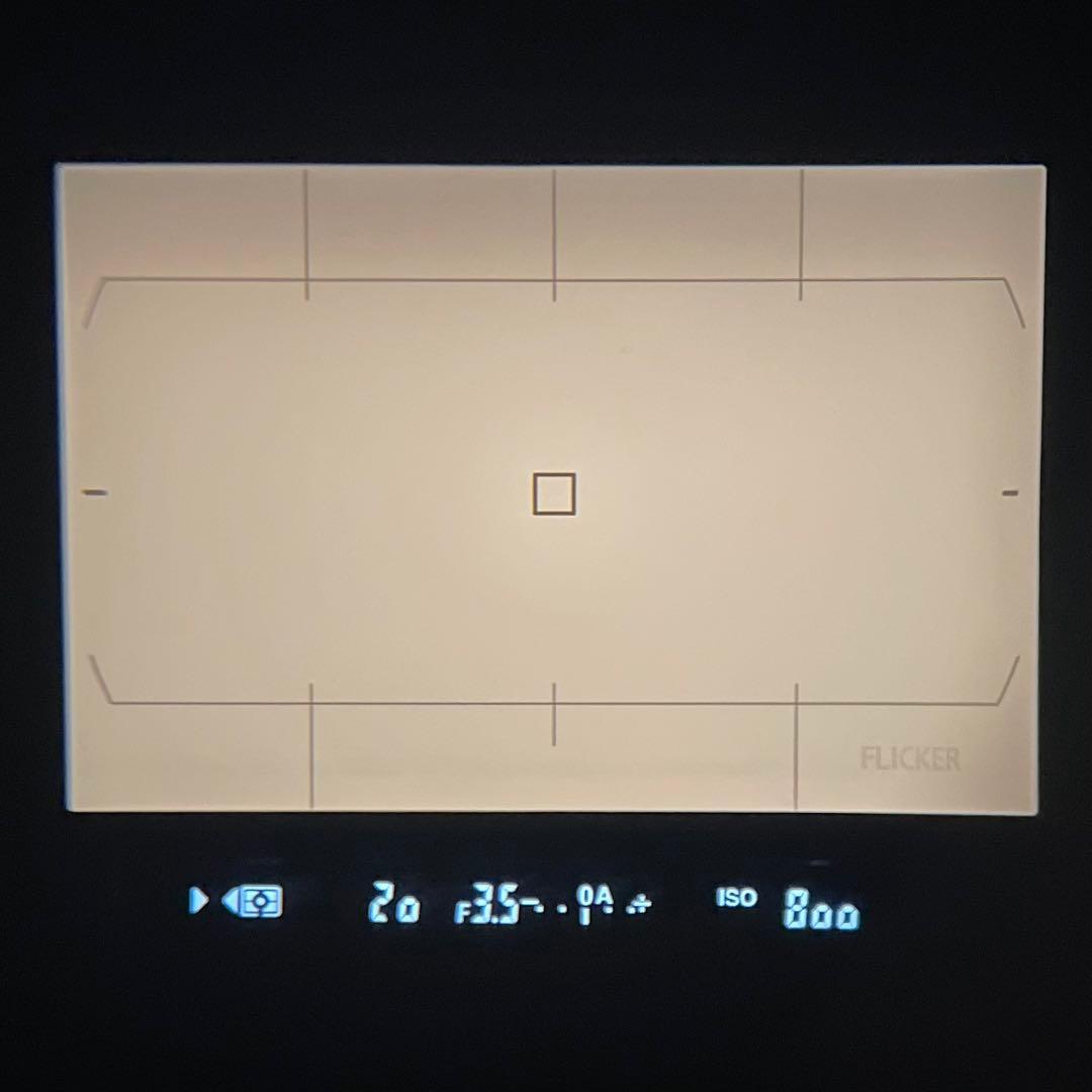 美品 Nikon D500 ボディ おまけ多数