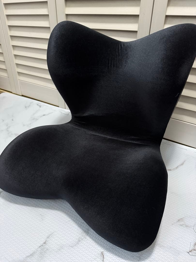 【 美品 】Style PREMIUM DX