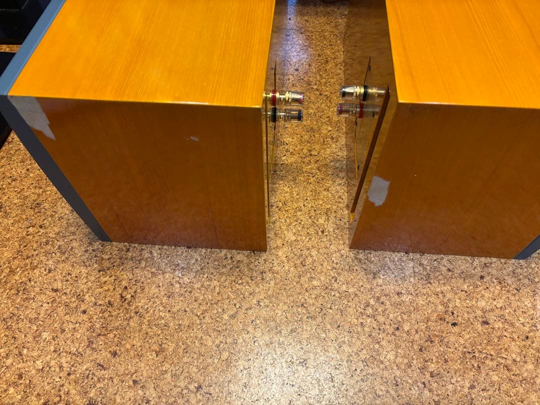 reqst pro dw-s1 モニタースピーカー