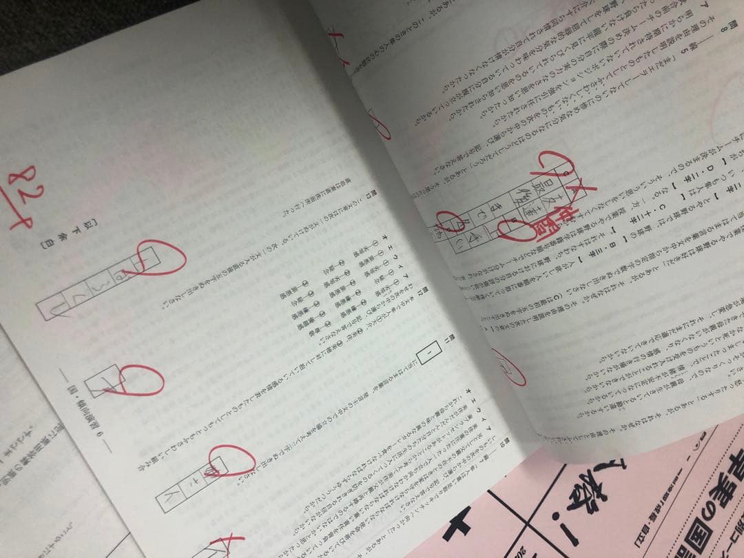 早稲田アカデミーNN早実　前期後期/日特/土特/夏期/正月/直前/副教材2024