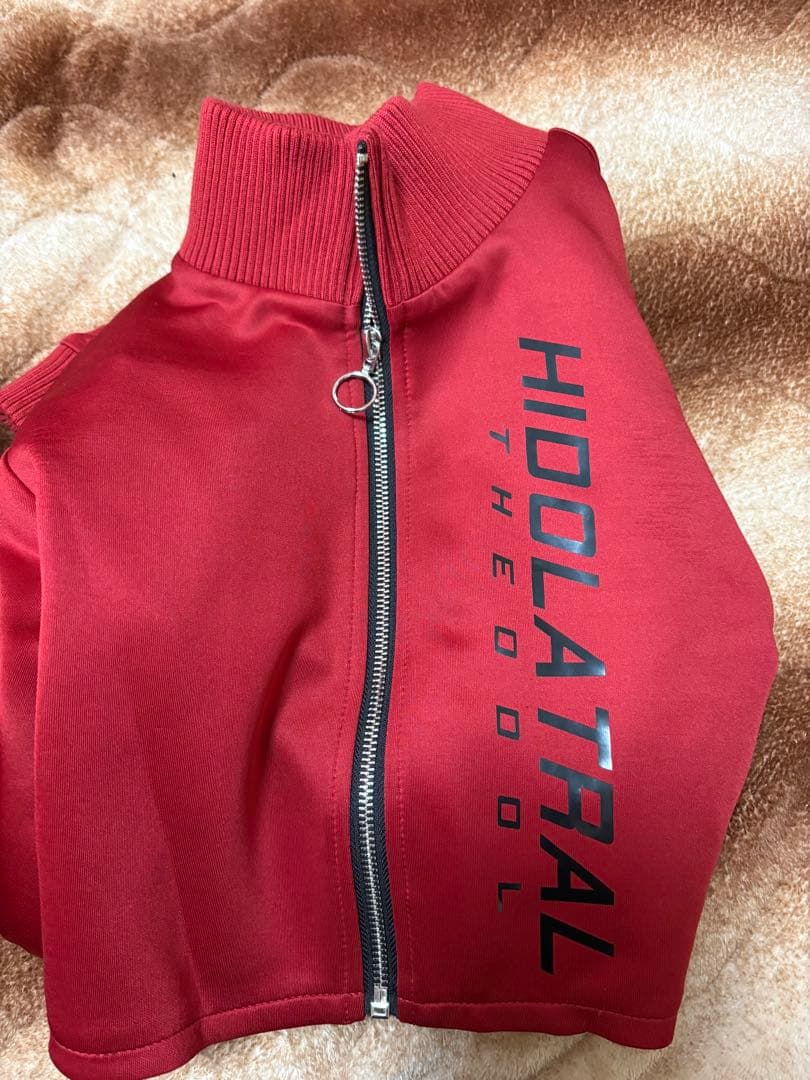 hidolatral theodol サイバージャージセットアップ