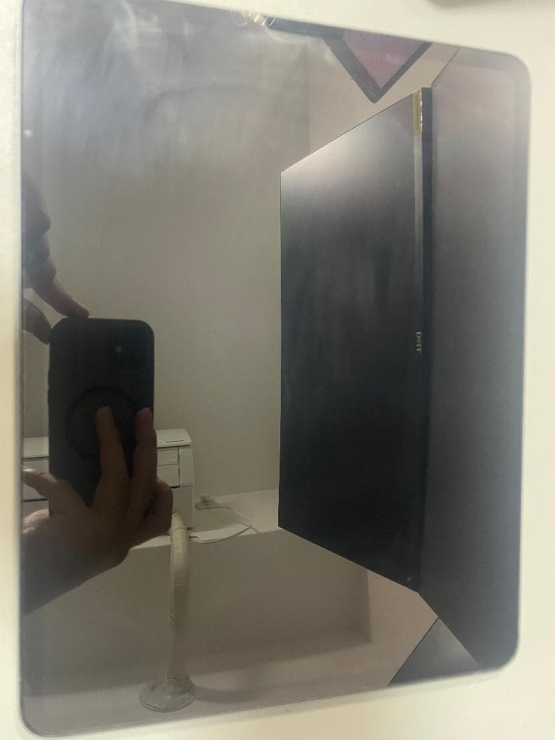 iPad Pro12.9インチ　512G 本体