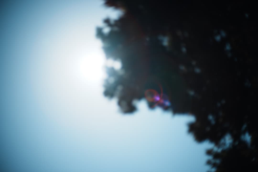 【極美品】動作◎ ニコン　Ai Nikkor 50mm F1.4 118