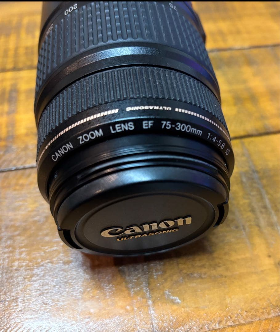 レンズ(ズーム) Canon EF 75-300mm F4-5.6 IS USM