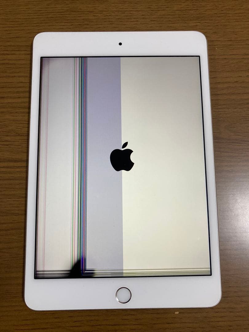 iPad mini 4 Wi-Fi 16 GB 本体 （i20）