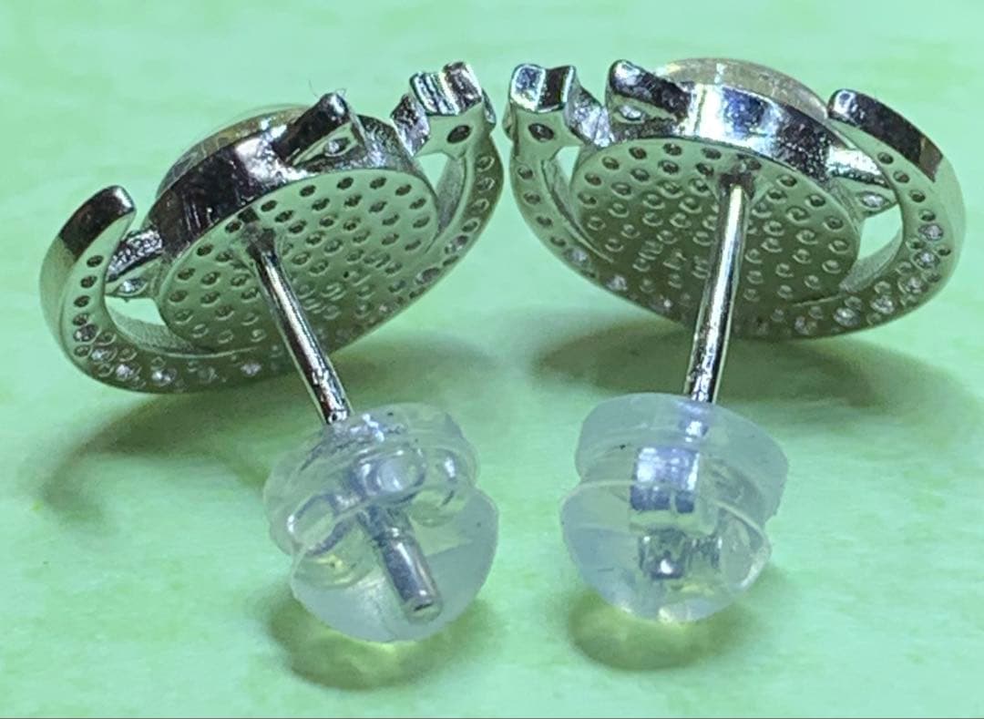 鉄質限石・メテオライト・スウェーデン産 SIVER925ピアス