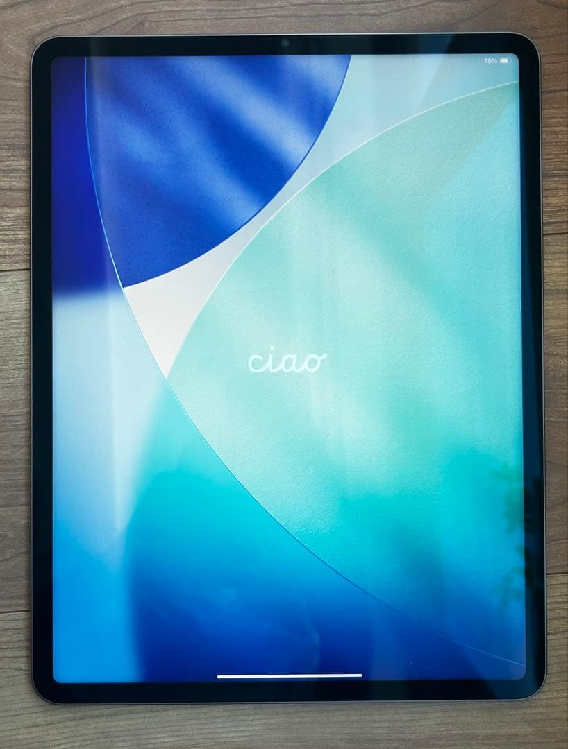 Apple 12.9インチ　iPad Pro（第五世代)256GB Wi-Fi