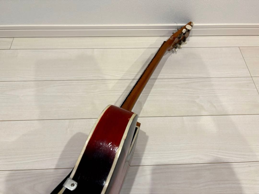 ビザール　アーチトップ　ピックギター　フルアコ　セミアコ　アコースティックギター