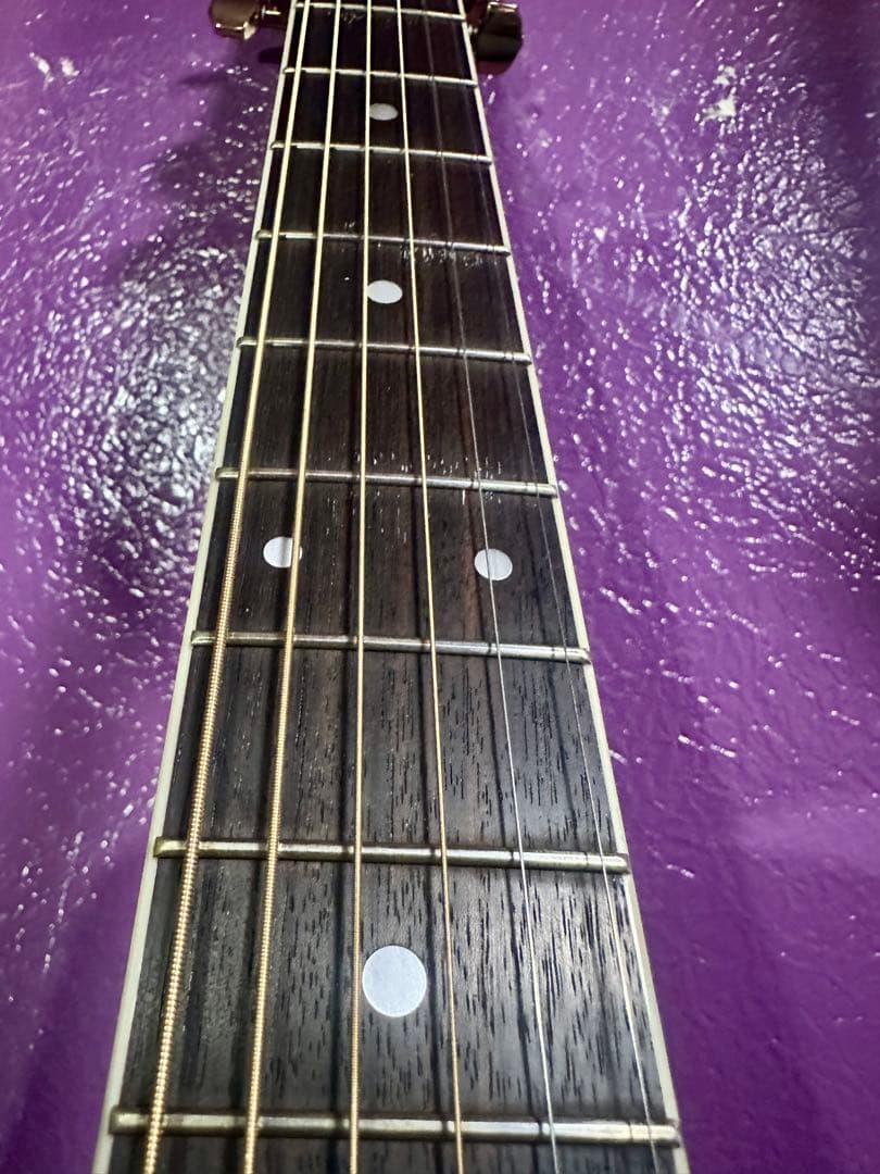 Morris アコースティックギター MD 520