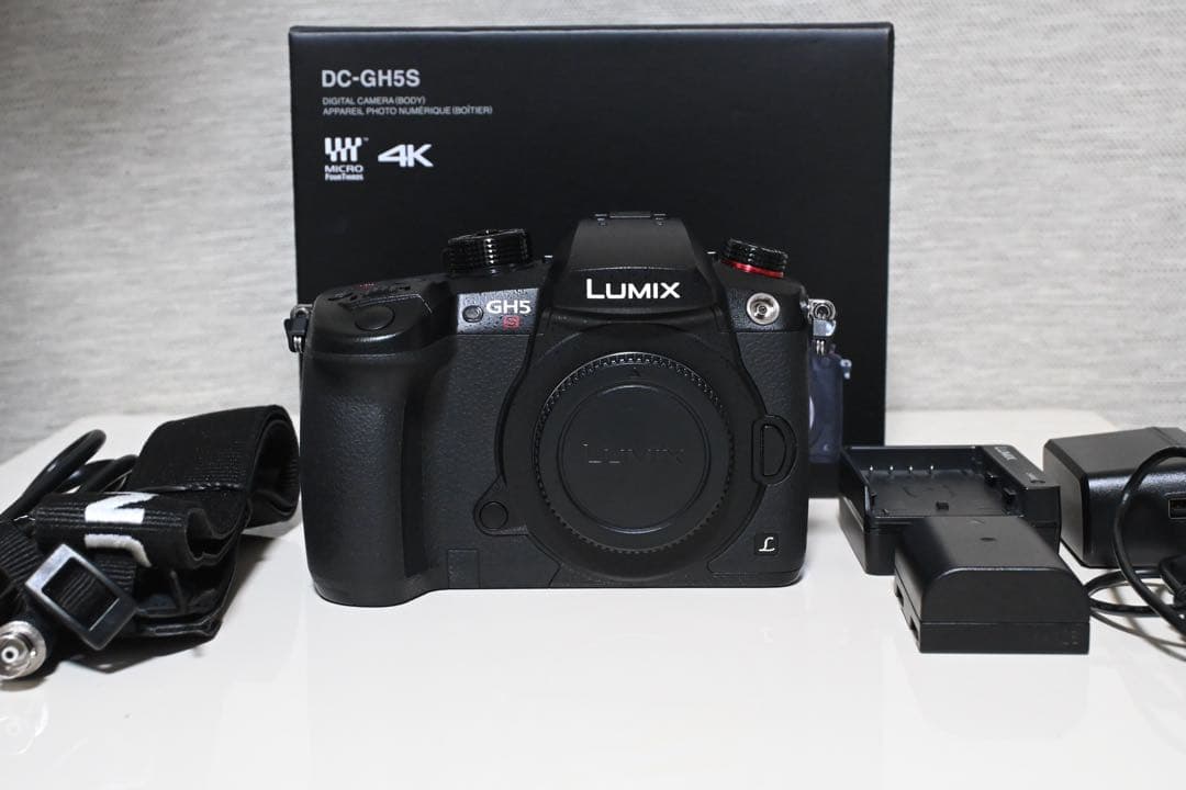 Panasonic パナソニック GH5S DC-GH5S 付属品・箱付き