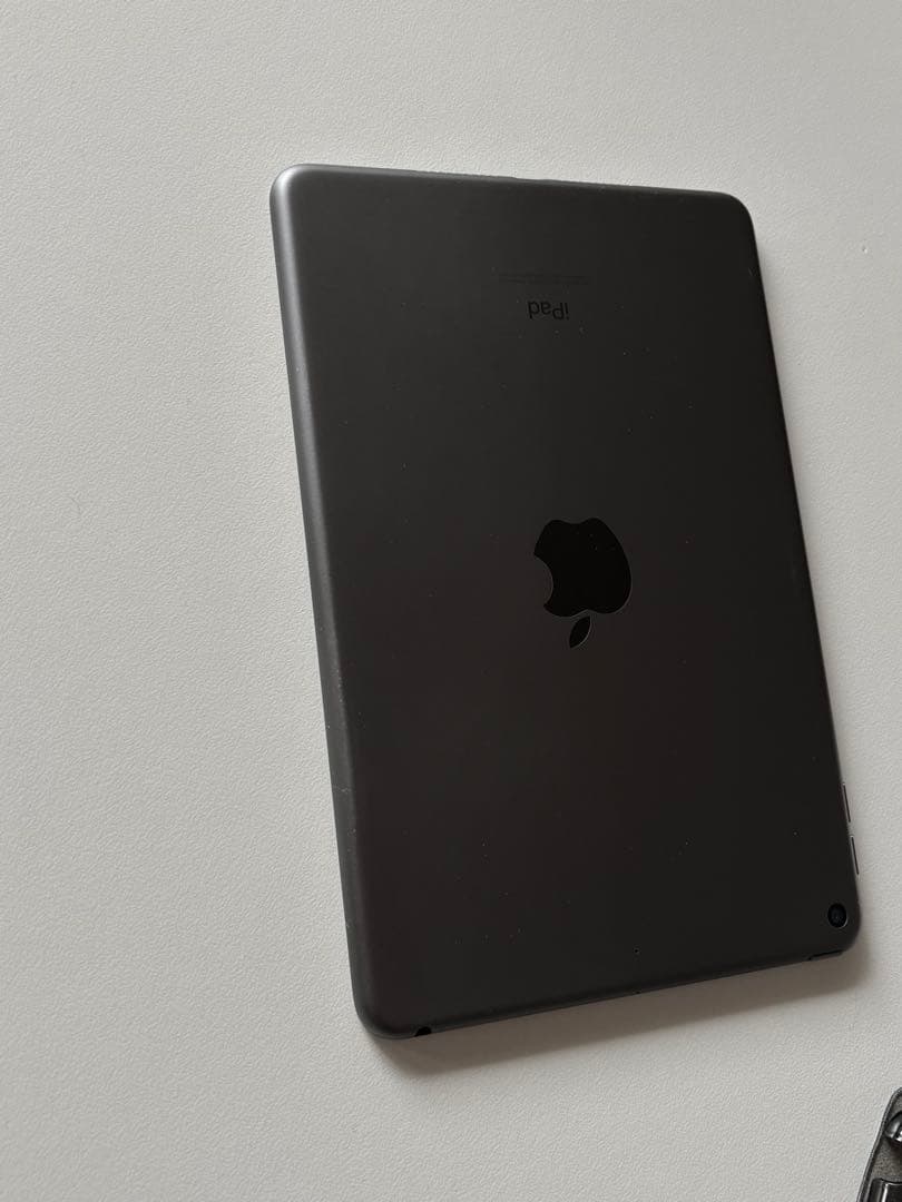 元箱付属品完備 iPad mini 第5世代 256GB スペースグレー　おまけ