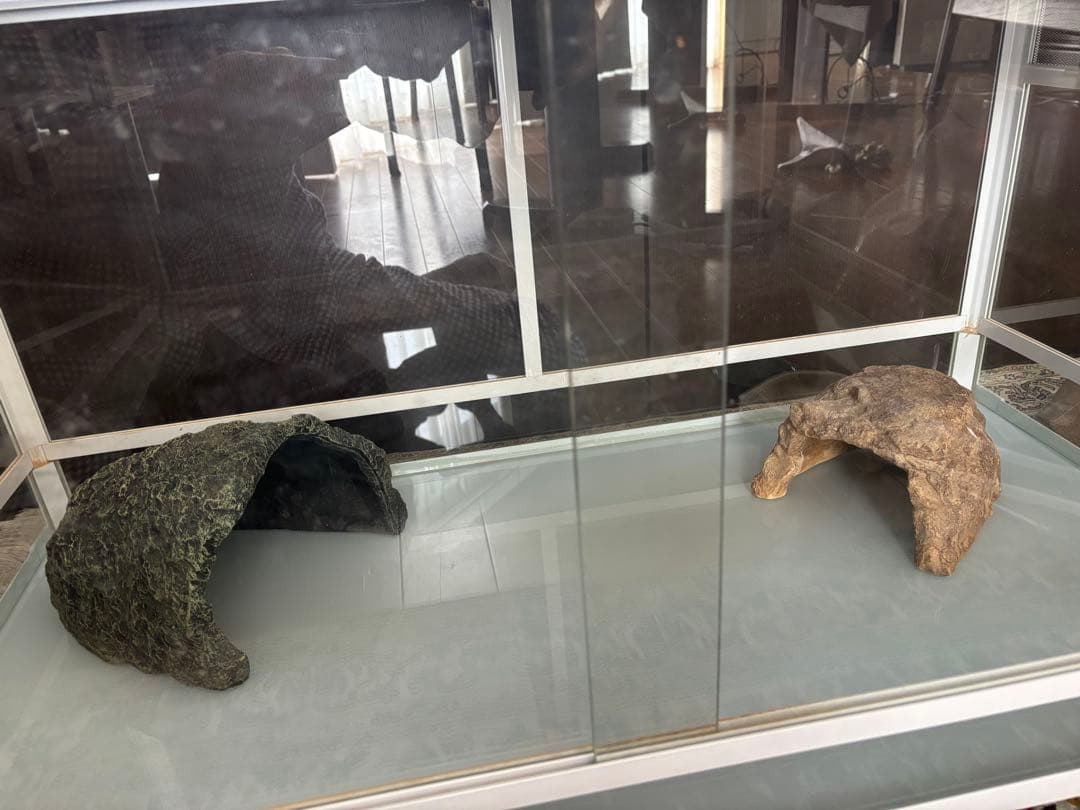 ガラス製飼育ケージと付属品一式