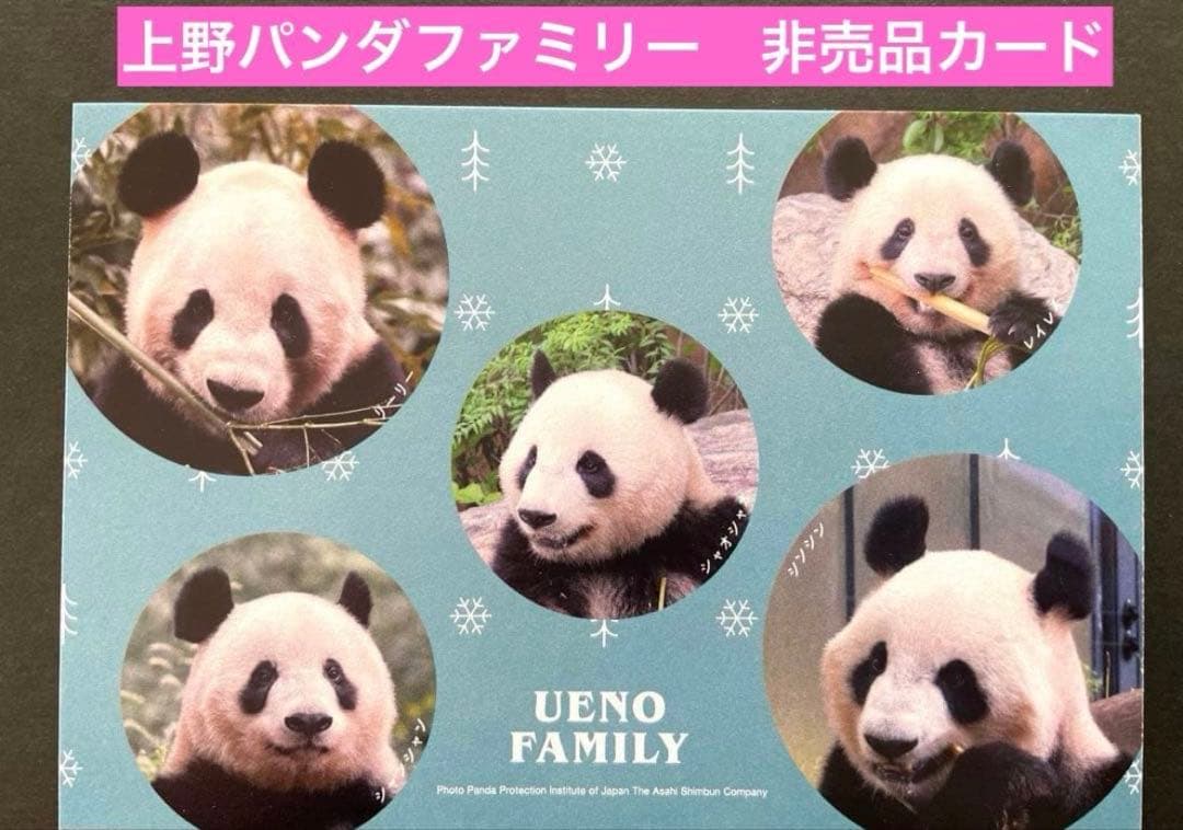 専用　シャオシャオ レイレイ　シャンシャン