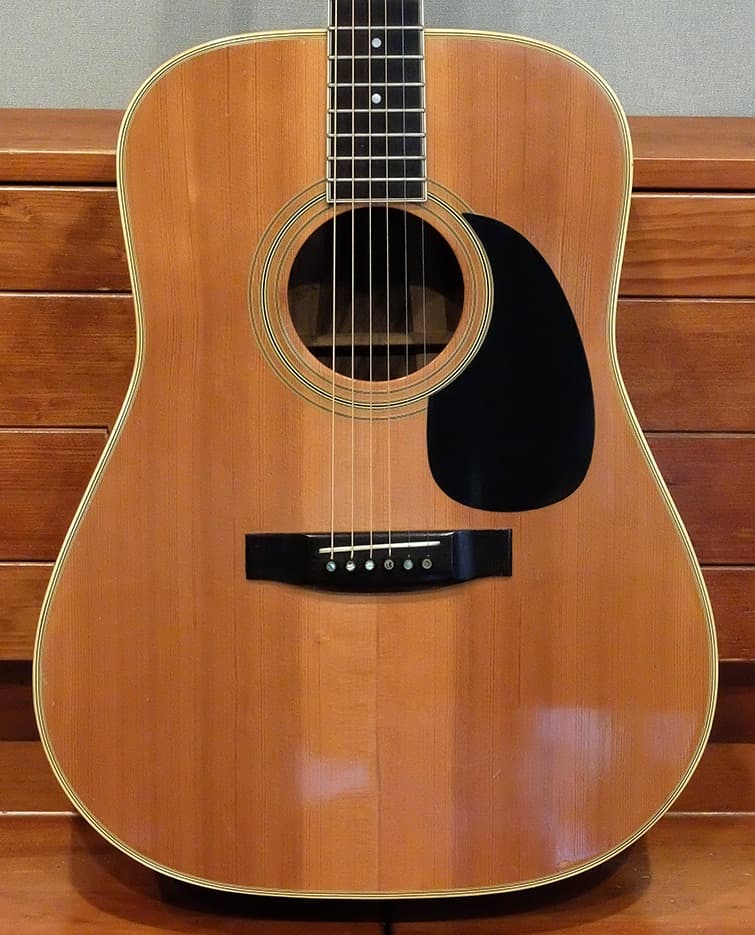 Morales LYRE BIRD M-50 セミハードケース付き