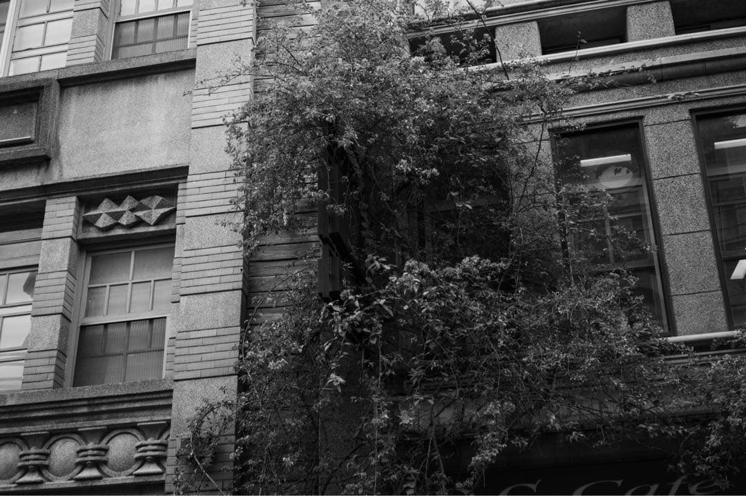 LIGHT LENS LAB 50mm F2 周エルカン V2LC