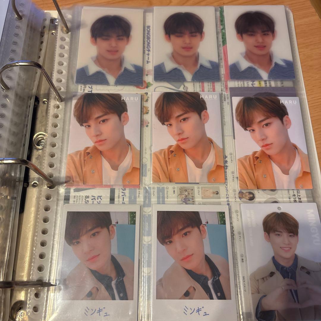 SEVENTEENミンギュトレカ