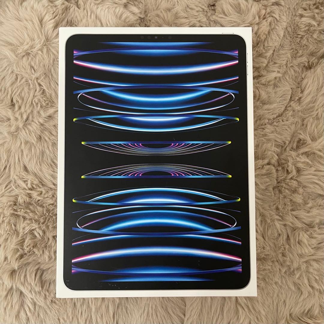 iPad pro 11インチ (第4世代)256GB