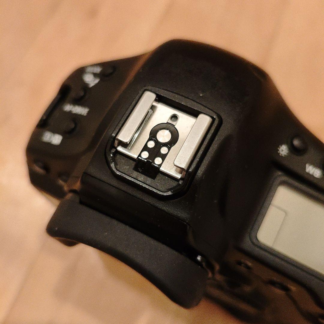 Canon EOS-1D X 本体 バッテリーCFカード2個付