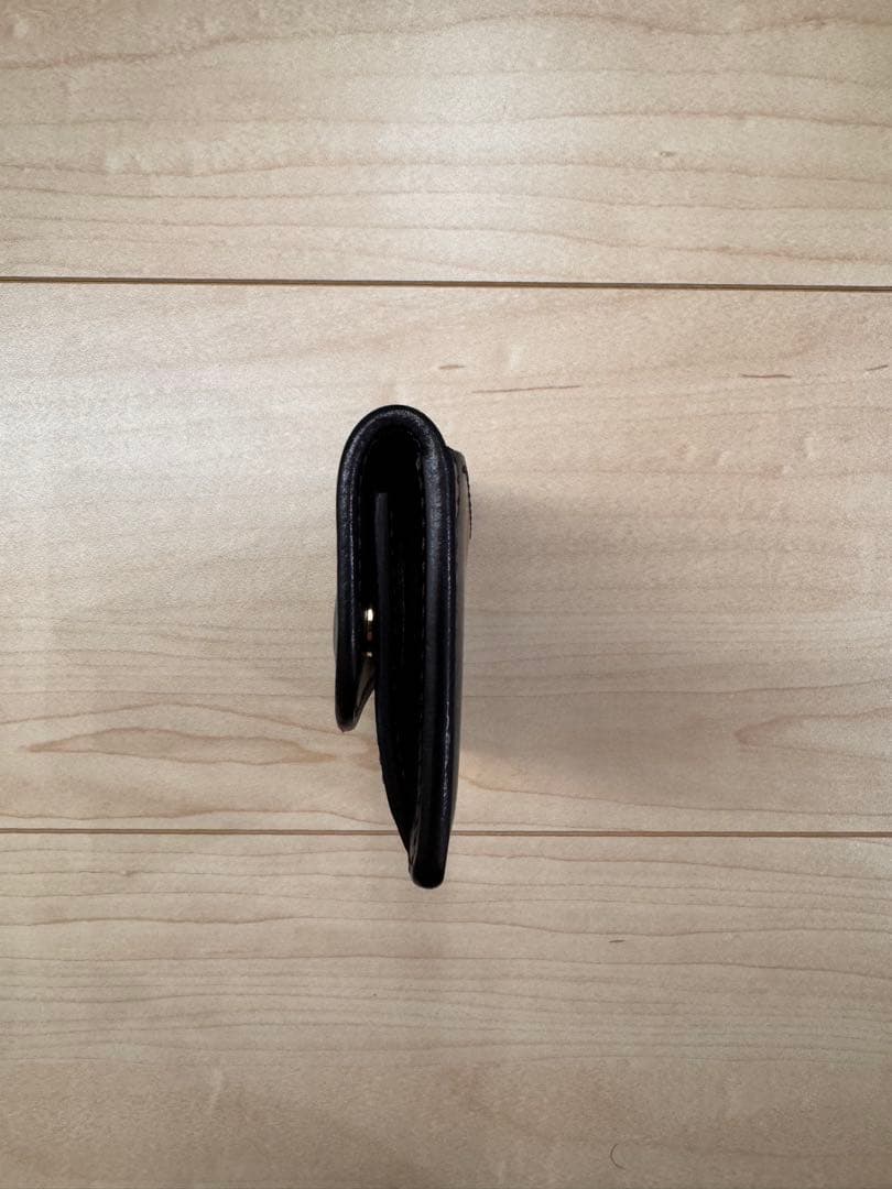 小物 WILDSWANS SADDLE PULL UP TONGUE