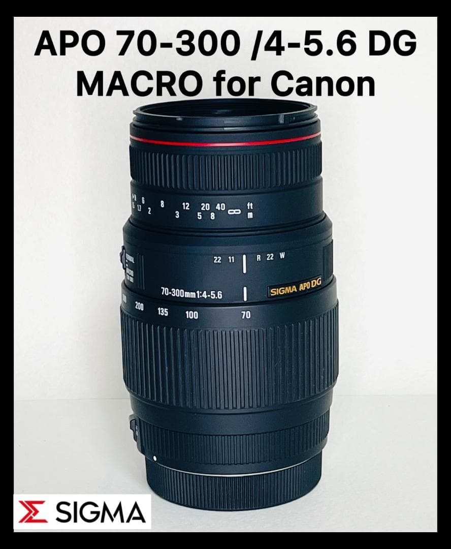 極上★シグマ SIGMA APO70-300/4-5.6 DG マクロ キヤノン