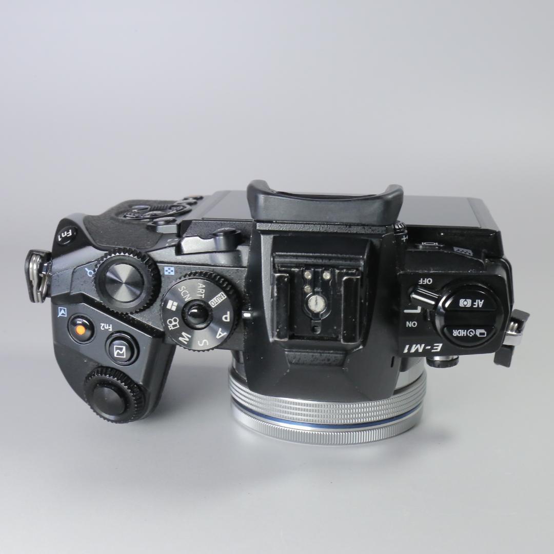 ☆良品☆ショット12,815回　OLYMPUS OM-D E-M1 ＃249