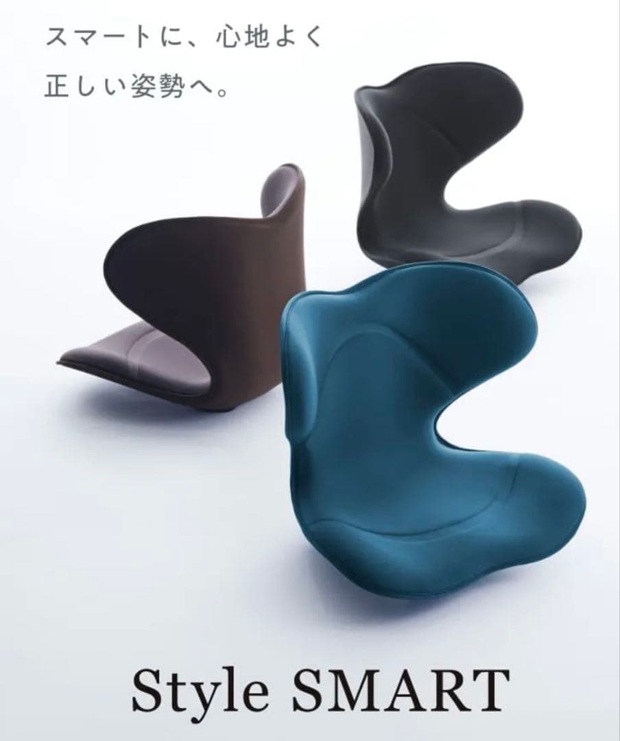 MTG スタイルスマート　StyleSMART 骨盤椅子
