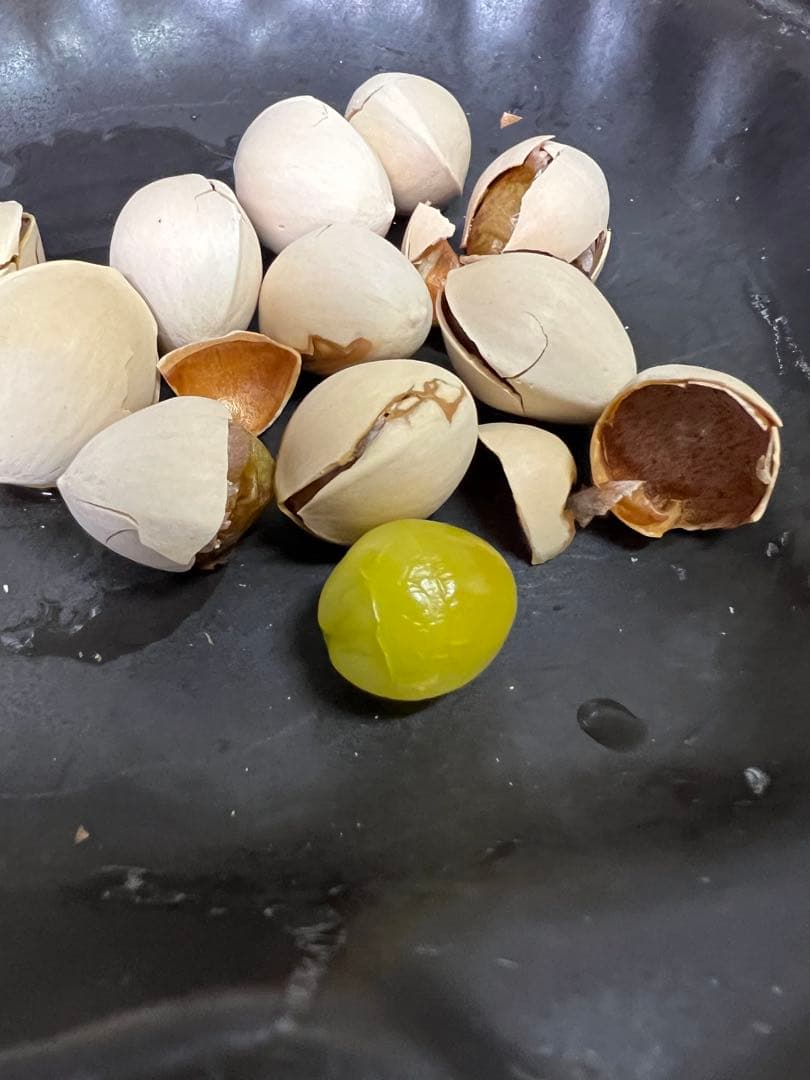 【新品】マイクロ波対策！電子レンジ専用　磁性鍋Lサイズ