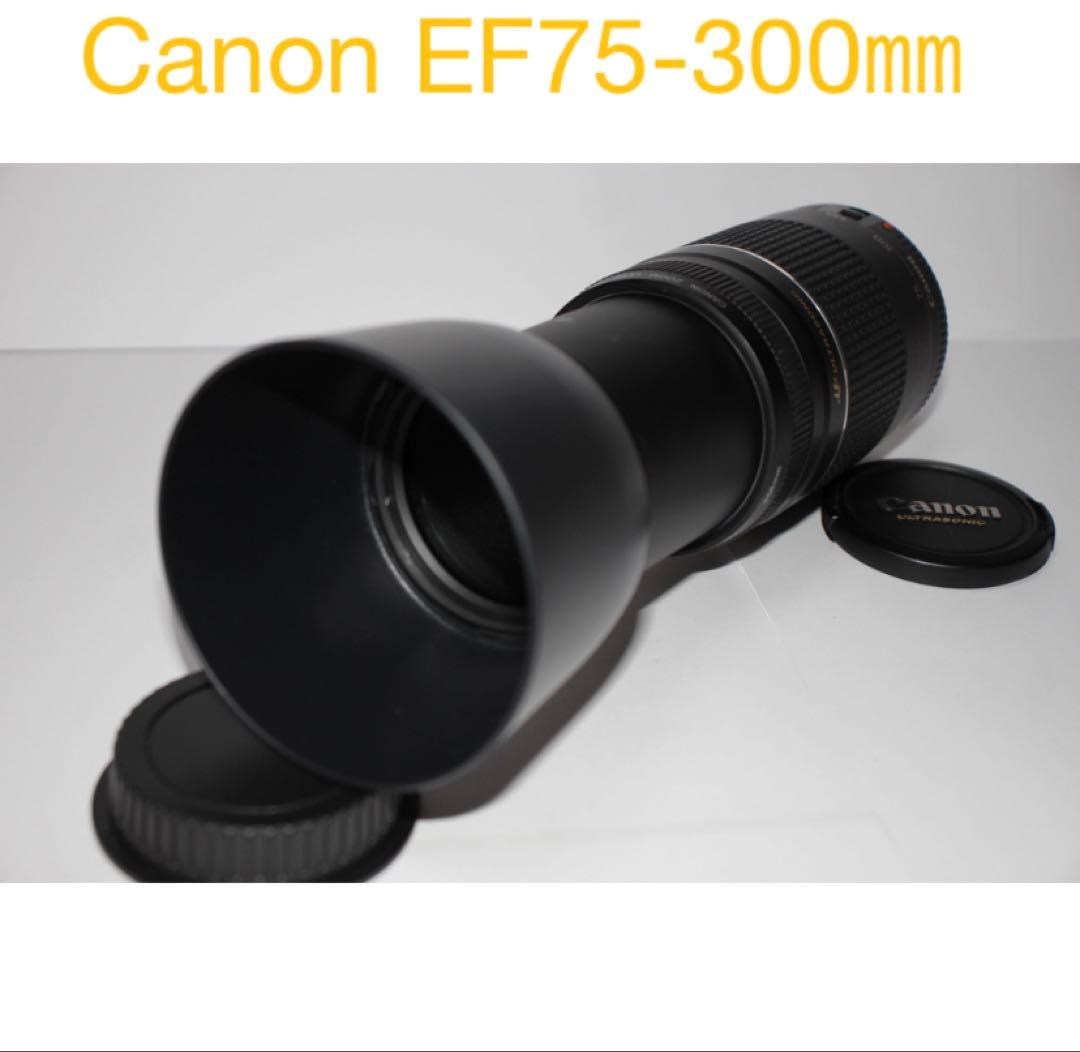 ☆超望遠レンズ☆一眼レフカメラ☆Canon EF75-300㎜I USM ☆