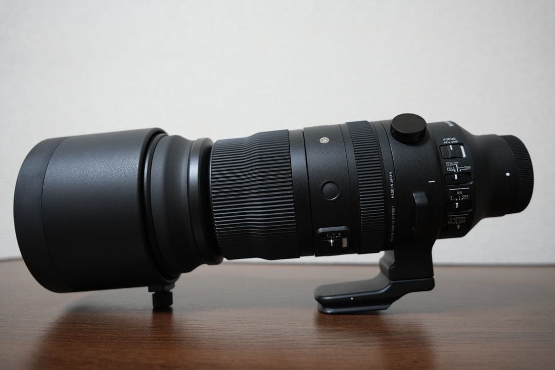 SIGMA 150-600mm F5-6.3 DG DN OS Eマウント