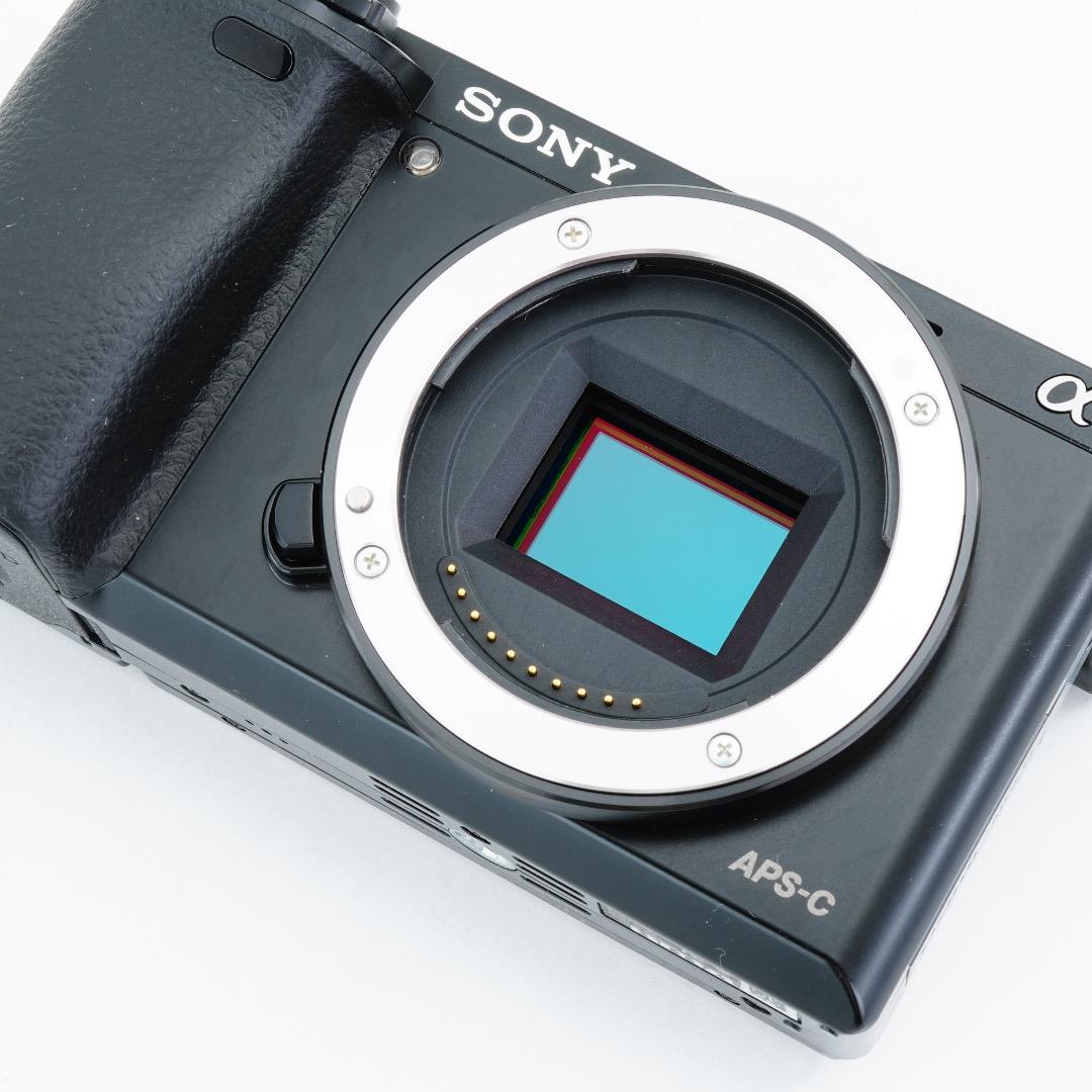 S317枚 極美品 SONY ミラーレス α6000 ILCE-6000L
