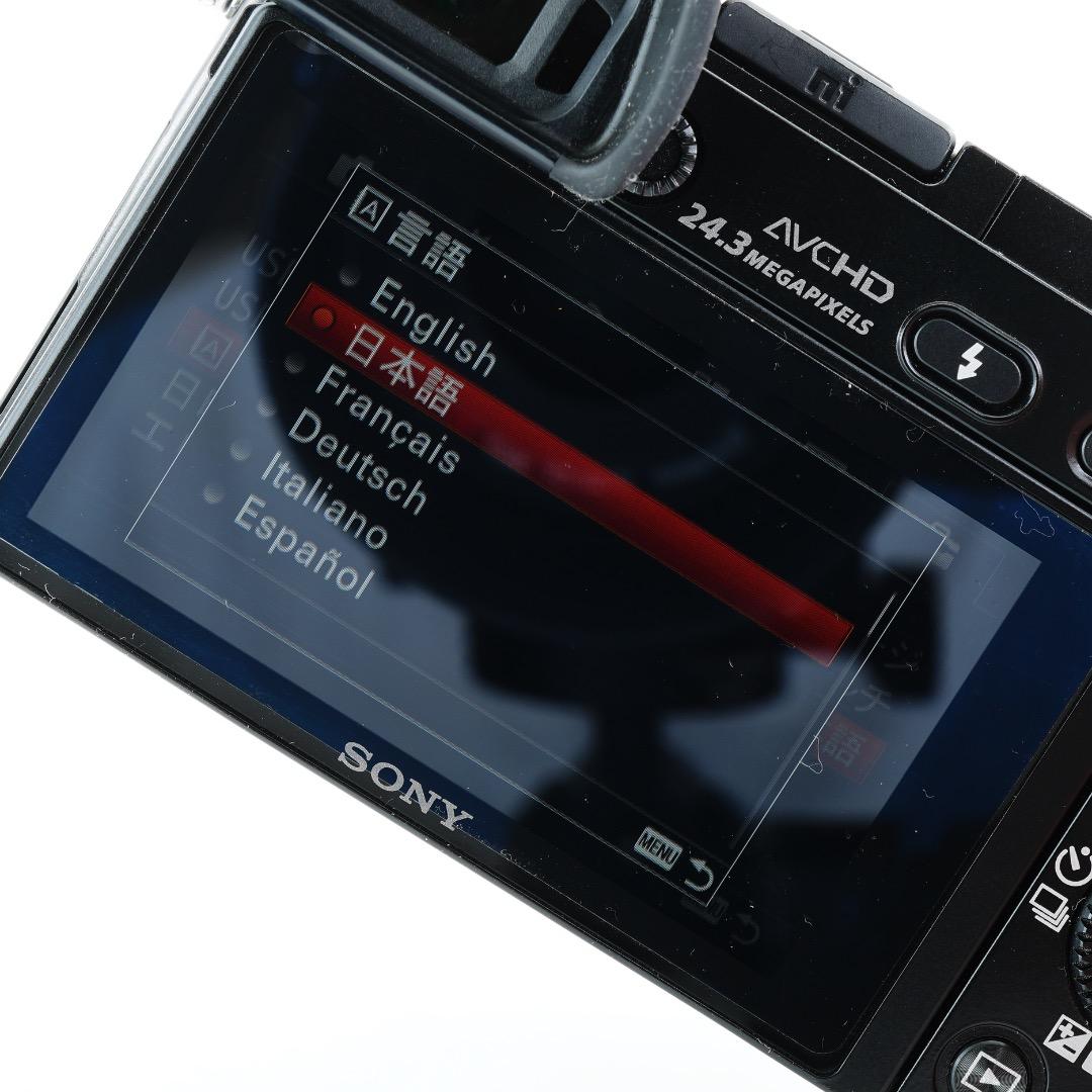 S317枚 極美品 SONY ミラーレス α6000 ILCE-6000L