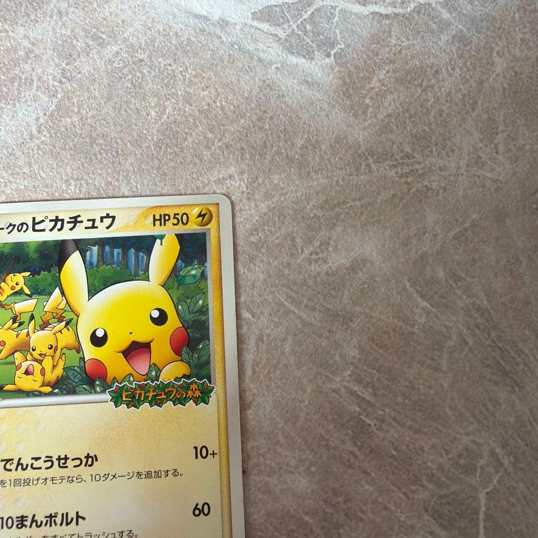 ポケパークのピカチュウ