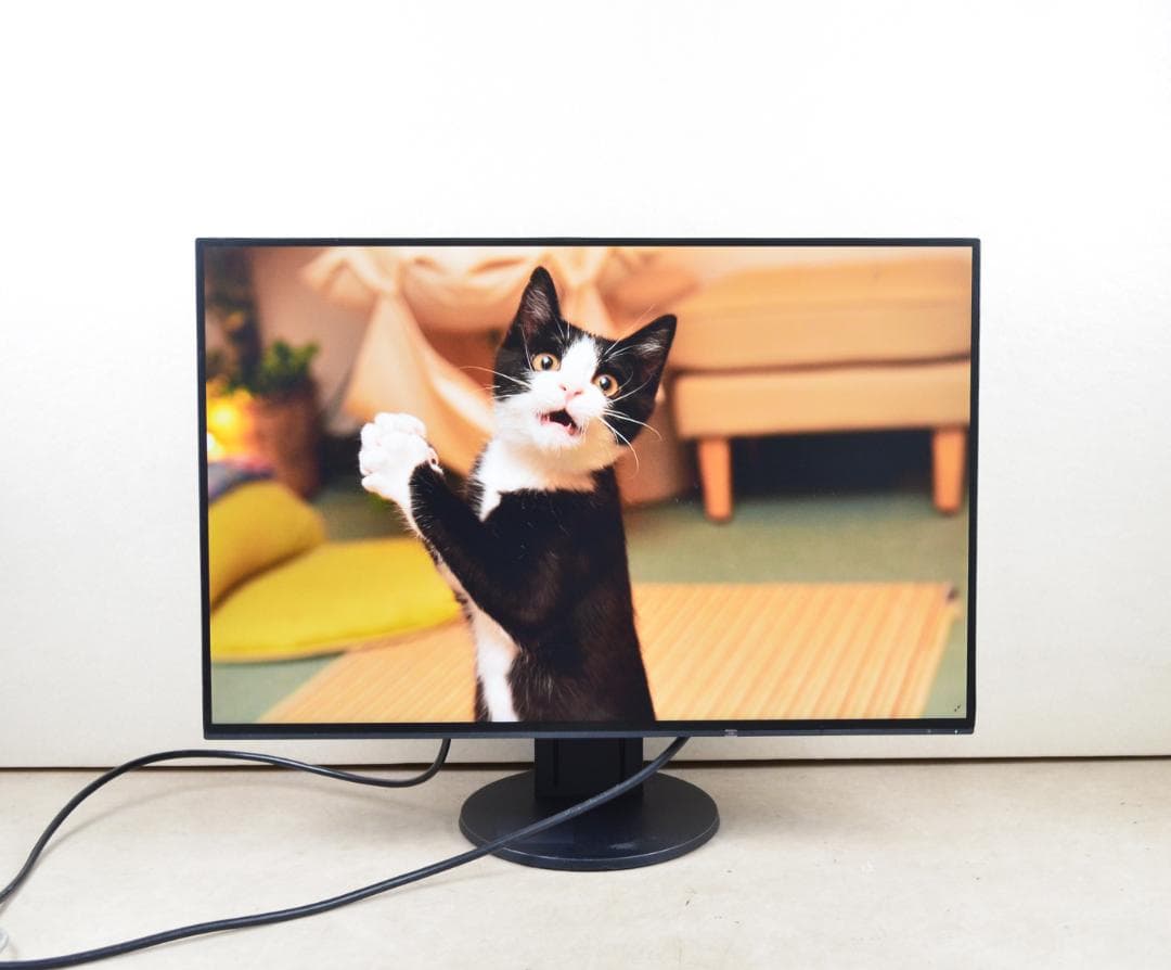 6300　超狭額　EIZO　EV2456　24型　WUXGA　HDMI　IPS