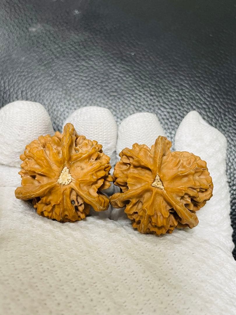 ④文玩核桃 盘山 三棱 (ベンツマーク)文玩袋　セット11,999→11,599