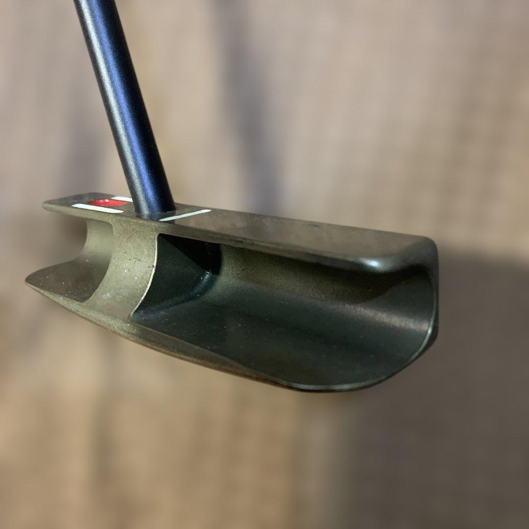 SeeMore FGP パター