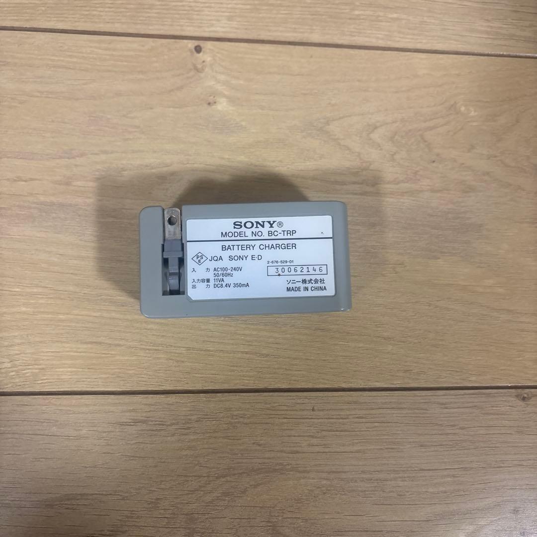 【動作品】 美品 SONY Handycam DCR-SR100 シルバーソニー