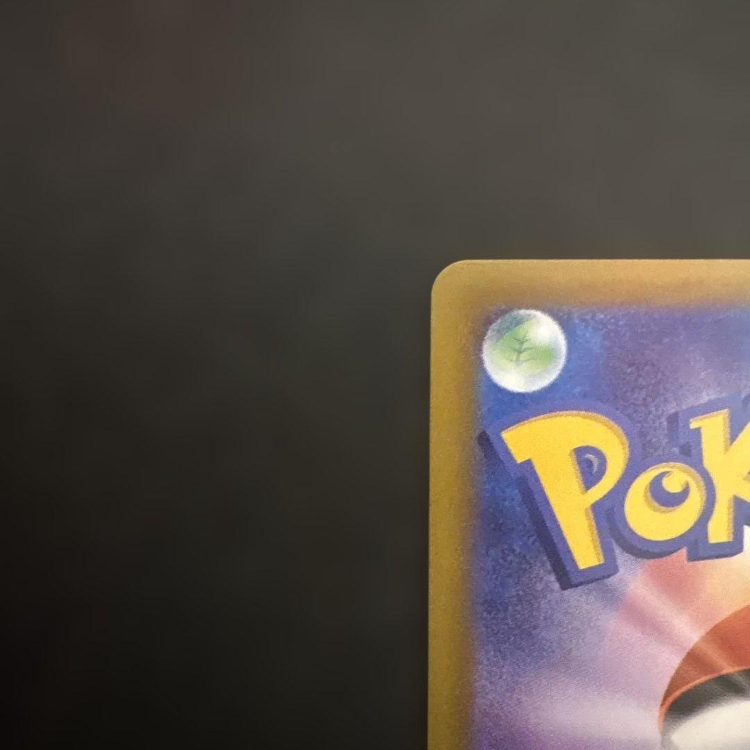 リーリエの決sar