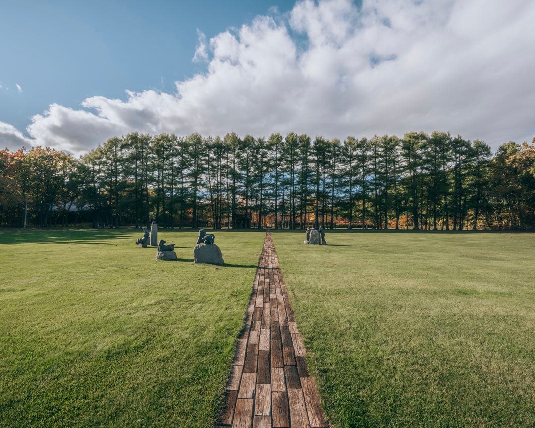 【箱付】NIKKOR Z 14-30mm f4 S 2万円分のNDフィルター付