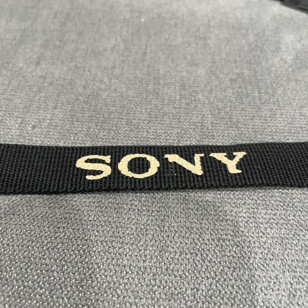 【やさいのようせい】SONY α5100 ダブルズームレンズキット