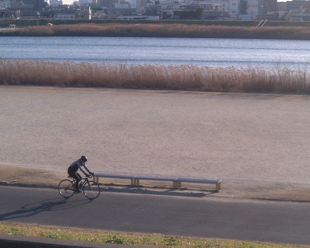 デジタルカメラ Leica digilux zoom