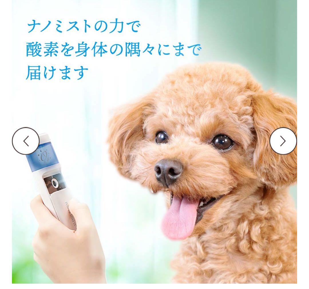 最新型酸素パワーミストO4 高エネルギー 酸素ミスト スキンケア