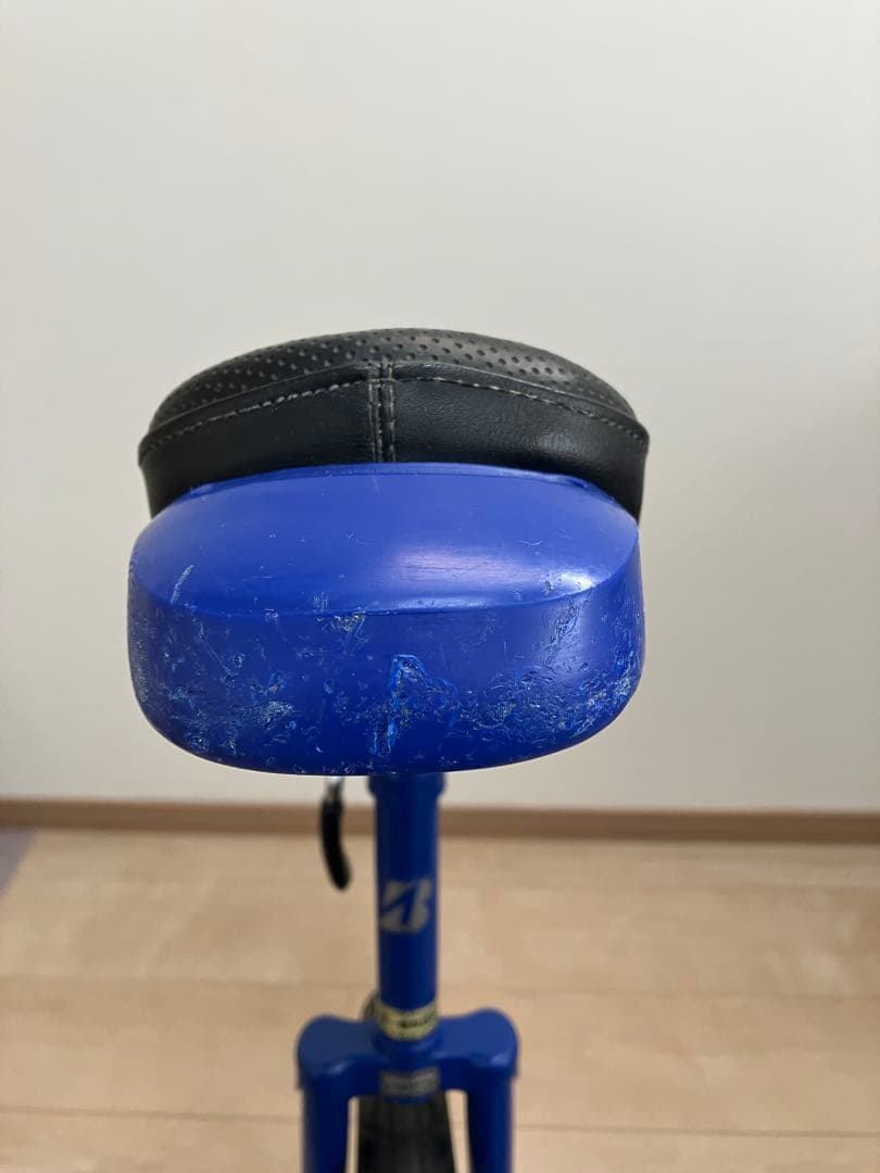 一輪車 20インチ ブリヂストン スピンズ ブルー