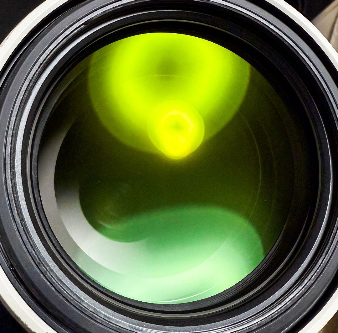 SONY　200-600G　ズームレンズ　望遠レンズ