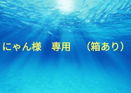 35サイズ22.5cmステラマッカートニー厚底エリスシルバー星柄銀色