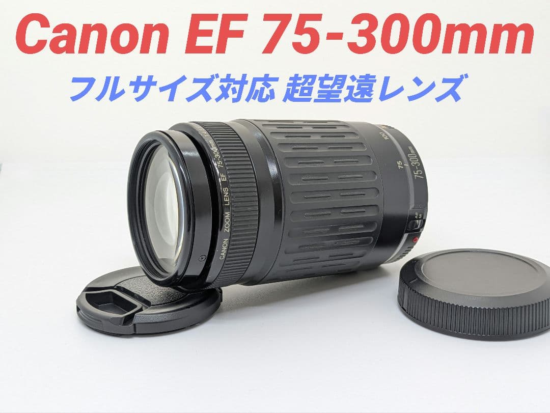 1月11日限定販売♪【超望遠レンズ】Canon EF 75-300mm