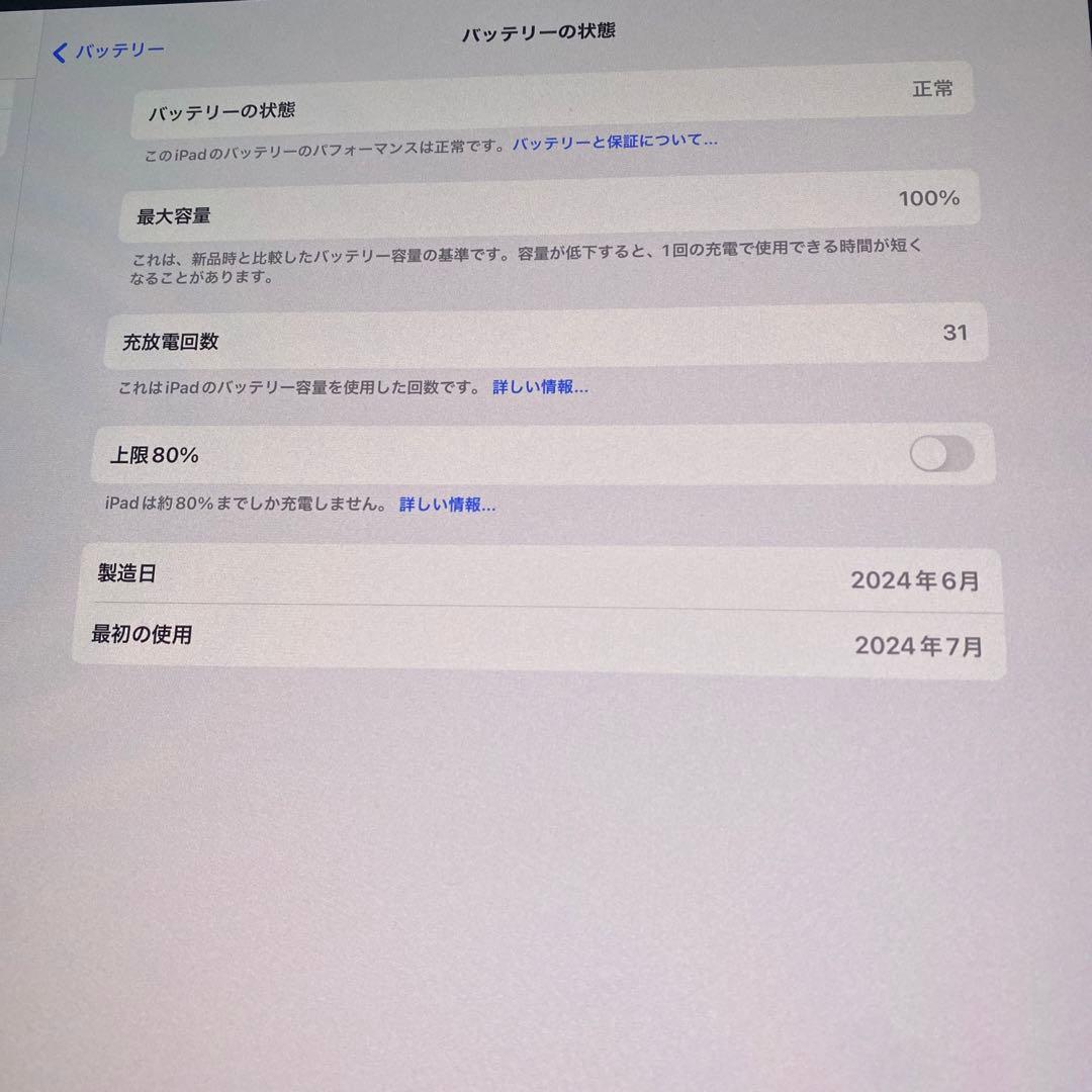 iPad Pro m4 13インチ　256GB