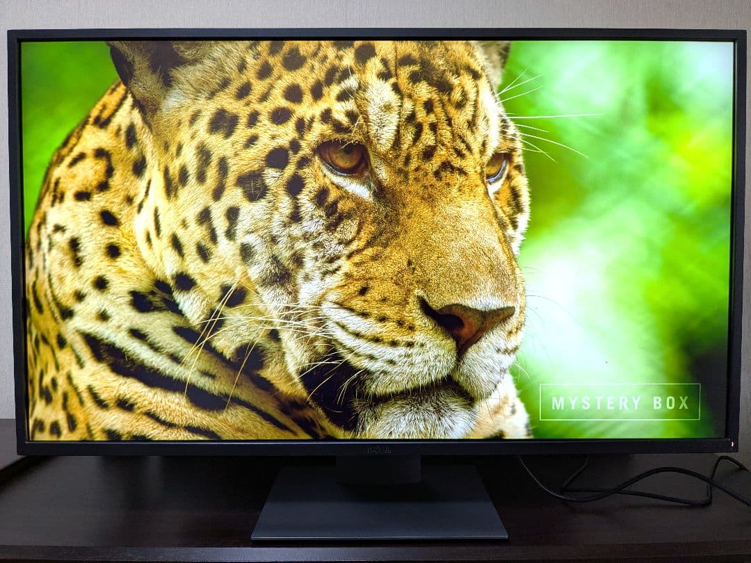 DELL 大型 4Kモニター 43インチ P4317Q ②