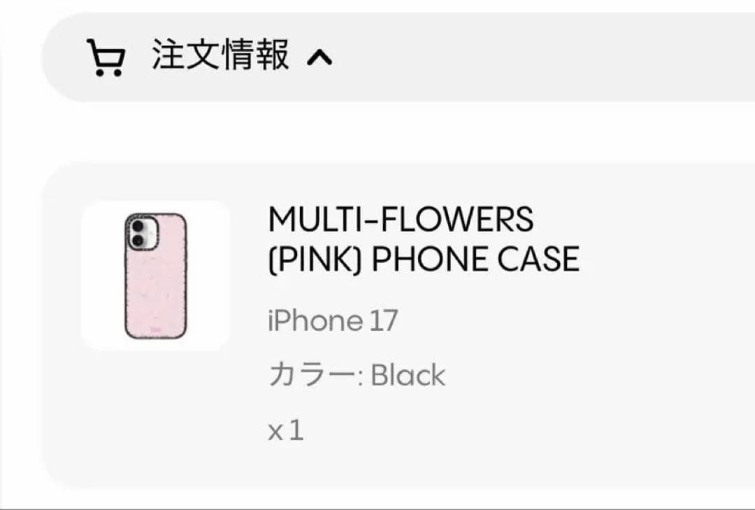 casetify 村上隆コラボ iPhone17 カバー ケース magsafe