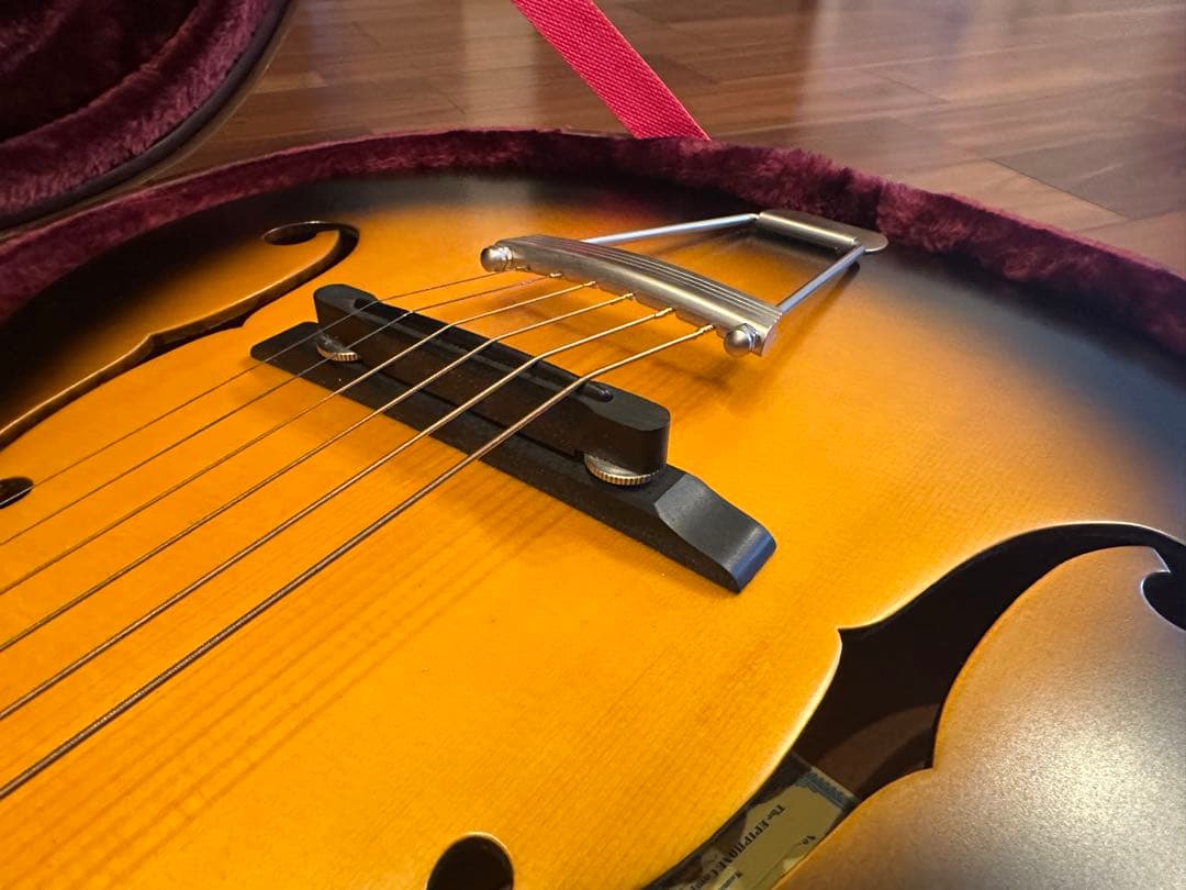 Epiphone Century Olympic 専用ハードケース